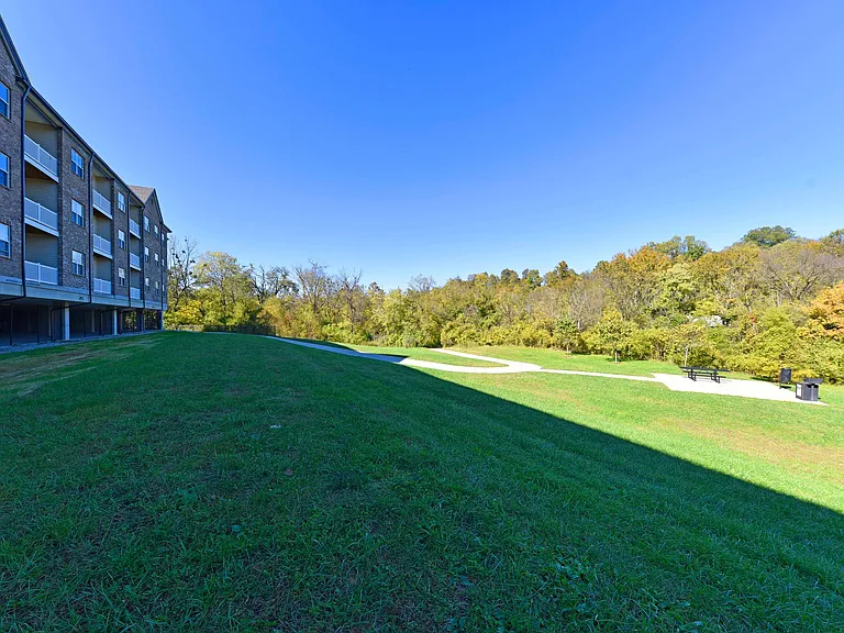 Courtyard + Picnic Area