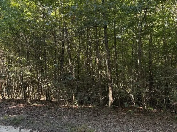 1 Doswell Town Rd, Meherrin, VA 23954