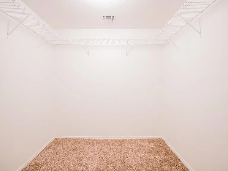 Primary Closet #1