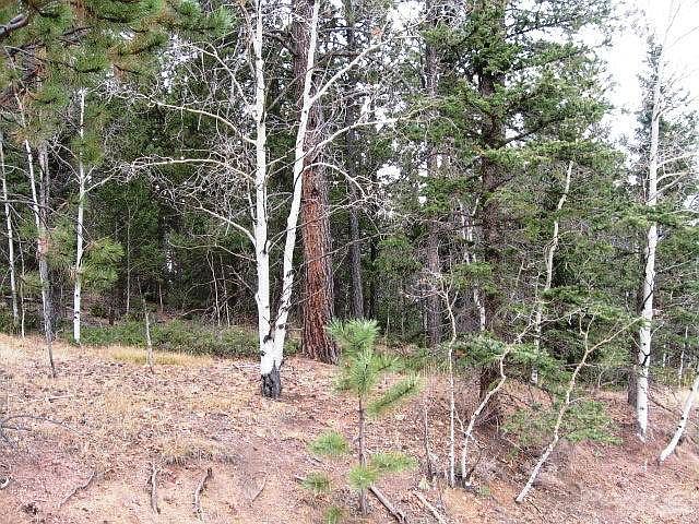 Kutsu Ridge 10.28.15 010