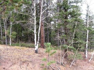 904 Kutsu Ridge Rd, Florissant, CO 80816