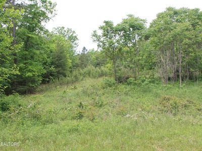 Dulog Trl, Jamestown, TN, 38556