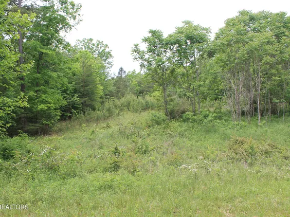 Dulog Trl, Jamestown, TN 38556
