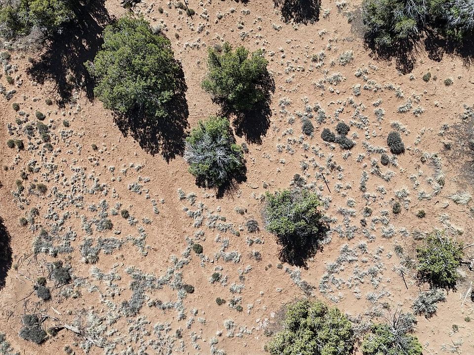 2nd image of 3908 Coronado Rd