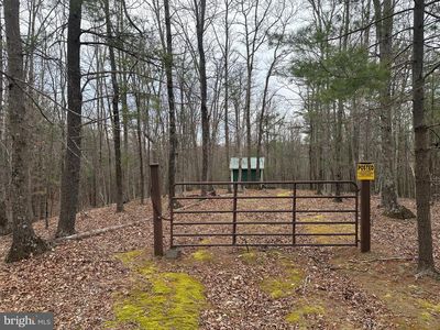 Oliver Beltz Rd, Oldtown, MD, 21555