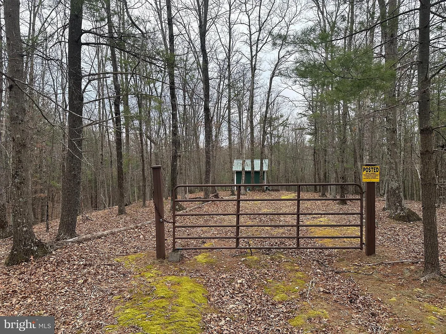 Oliver Beltz Rd photo 1