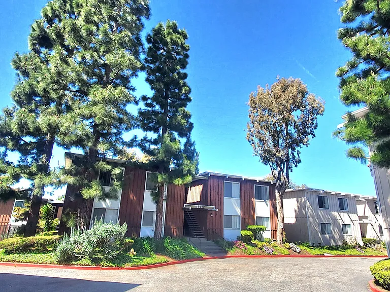 6914 Los Verdes Dr #8 — Photo 9