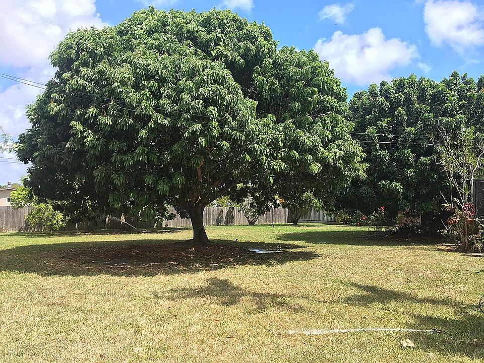 Many fruits trees!