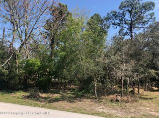 0 Aladdin Rd, Spring Hill, FL 34609