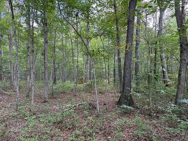 2nd image of 6501 Summitville Rd