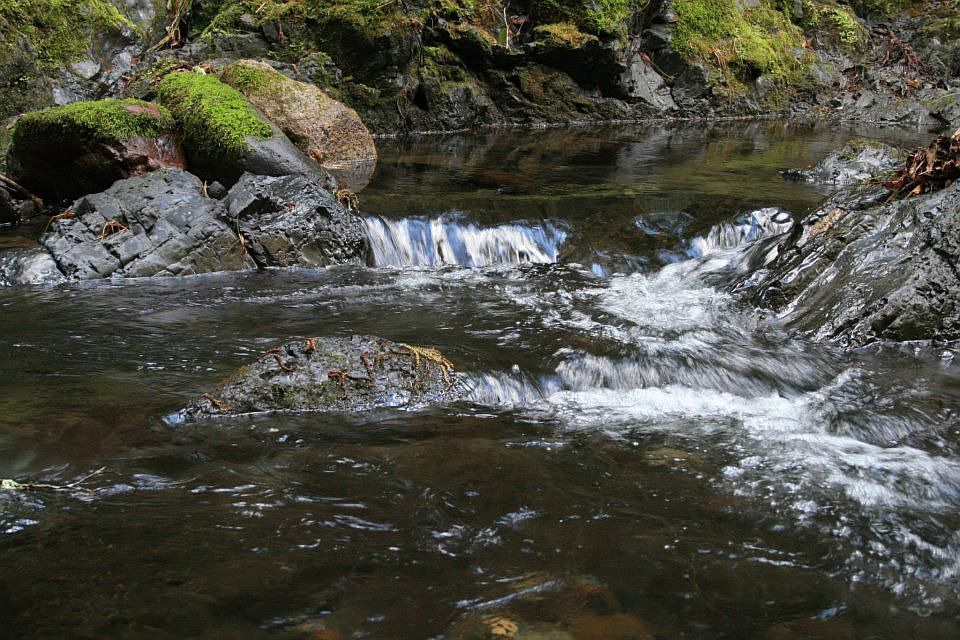 Dry Creek