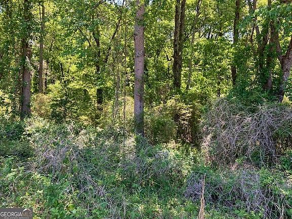 5th image of 4038 W McIntosh Rd