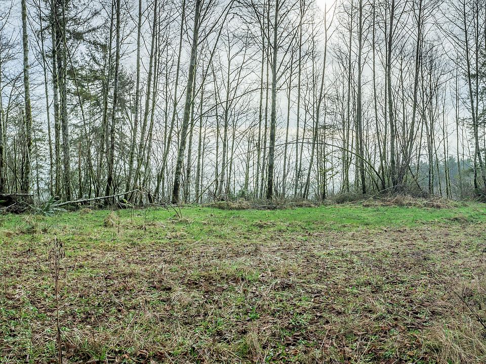 2nd image of Salmonberry Cir