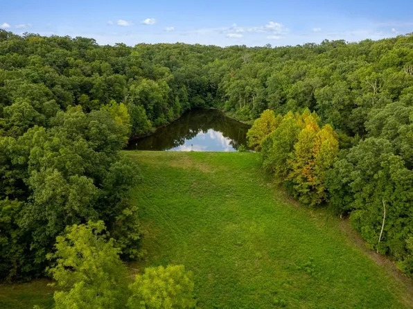 1 Wayne #256, Greenville, MO 63944