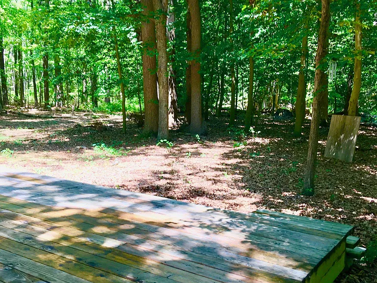 111 Fox Run Ln — Photo 16