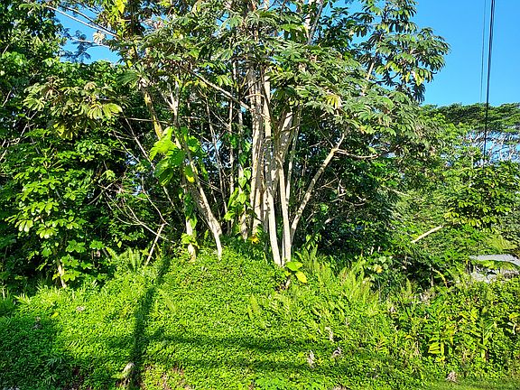 5th image of 15-714 Kahakai Blvd Lot 27