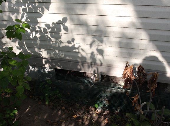 4th image of 203 E 7th St