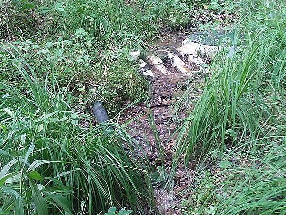 Natural Spring