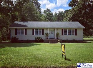 4538 Moore Rd, Effingham, SC 29541