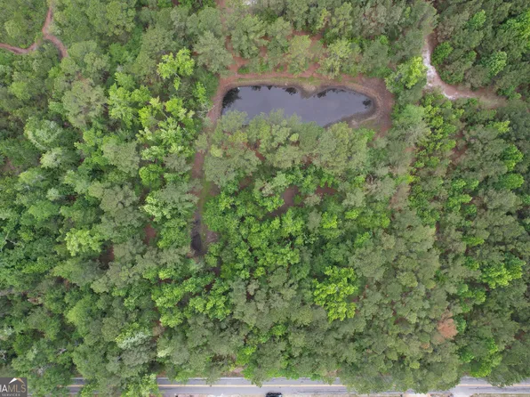 Mount Pleasant Rd, Clyo, GA 31303