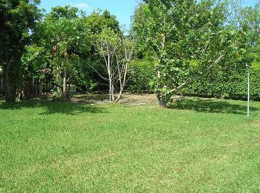 Huge back yard 16,000 sqft lot