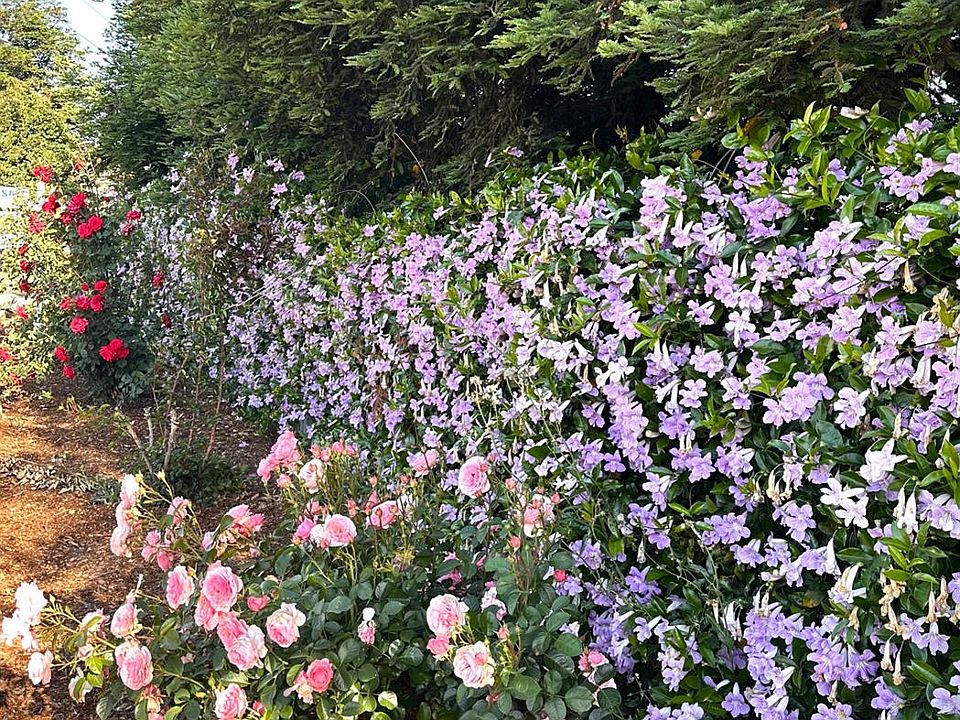 13215 Lake Rd, Hickman, CA 95323 MLS 223041592 Zillow