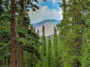 796 Valley Of The Sun Dr, Fairplay, CO 80440