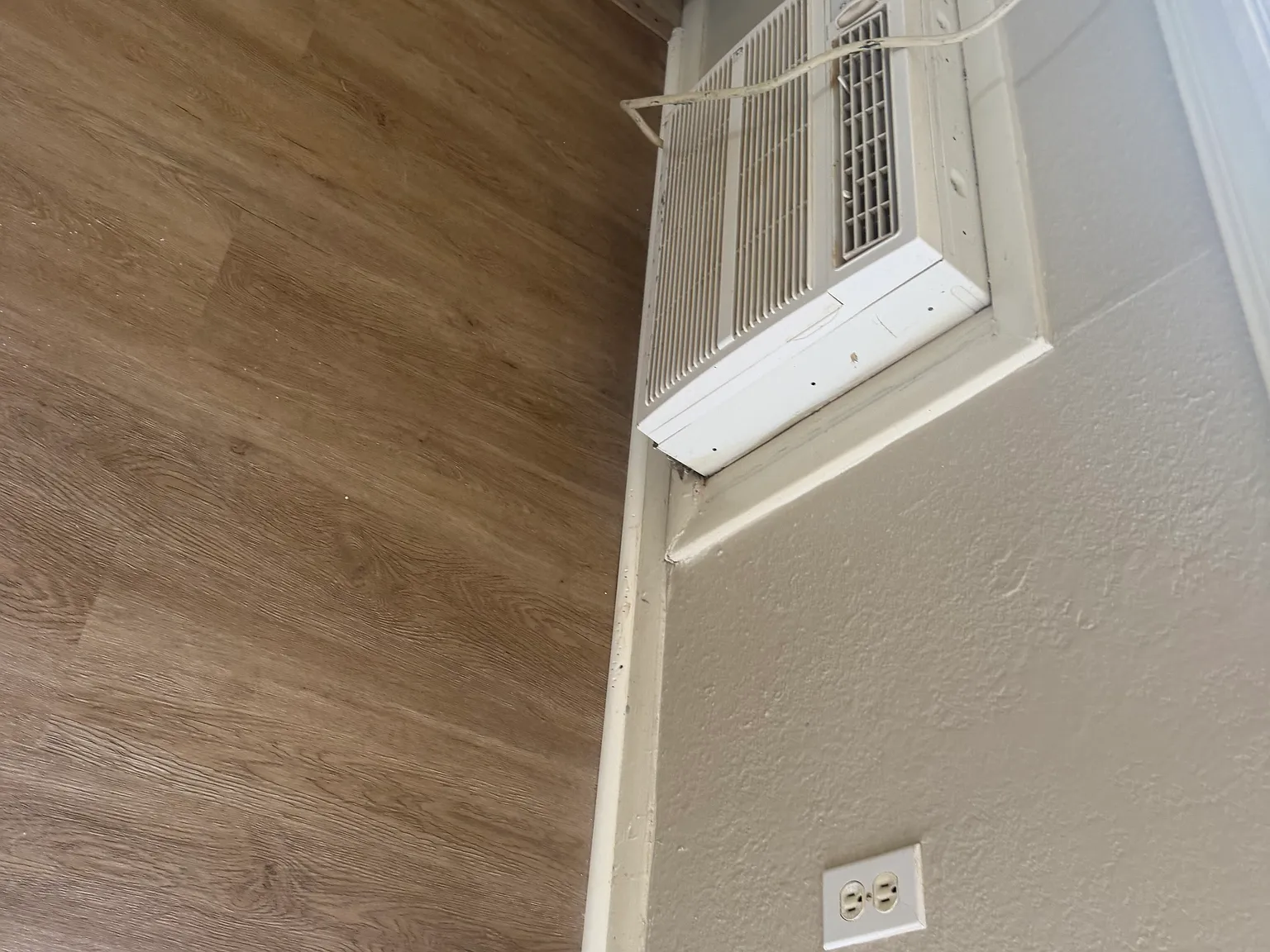 1005 Faye Ave — Photo 4