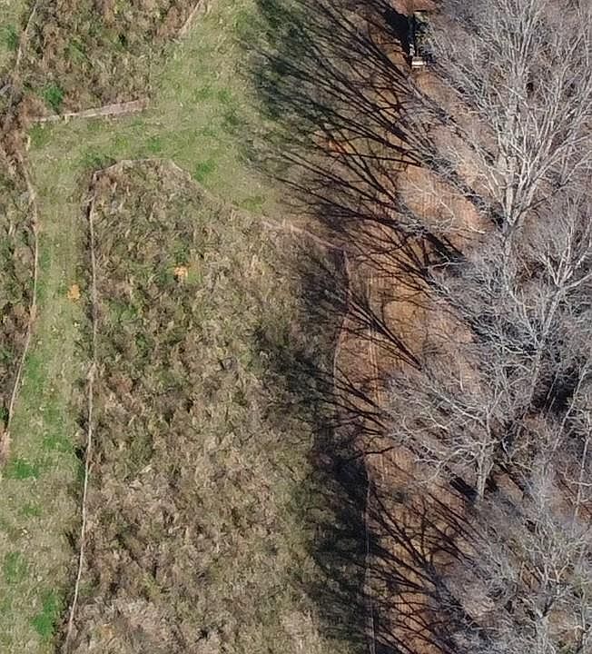 2nd image of 1318 Augustus Rd #3