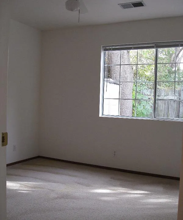 View from kitchen