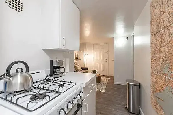 Rented by Voro NYC | media 18