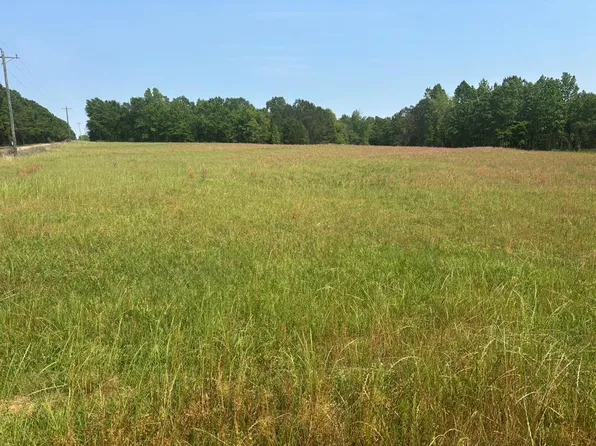 3390 County Road 3339, Brundidge, AL 36010