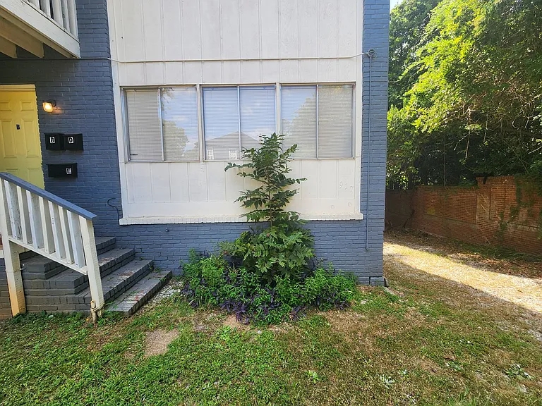 917 Oakview Ave — Photo 5