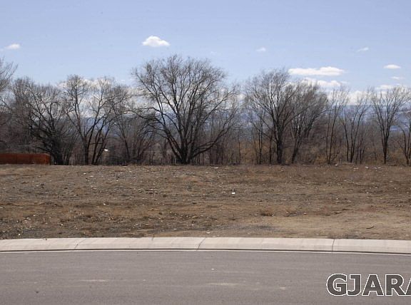 4th image of 2633 New Orchard Ct