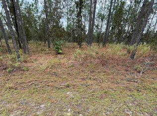 SE 133rd Ave LOT 4, Dunnellon, FL 34431