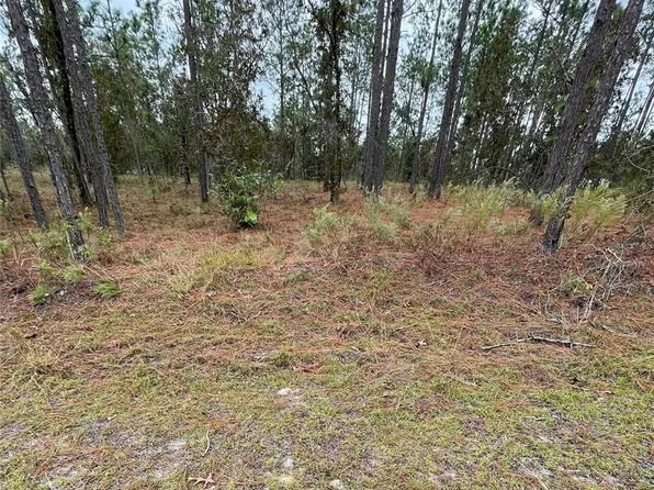 SE 133rd Ave Lot 4, Dunnellon, FL 34431