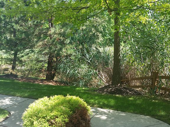 Quiet Privacy on Front Porch
