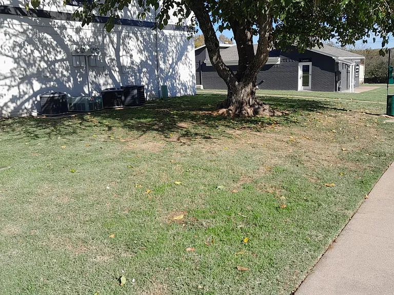 Saddle Ridge Apartments — Photo 11