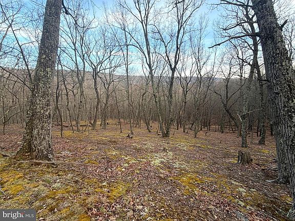 3rd image of 5 Preserve Rd