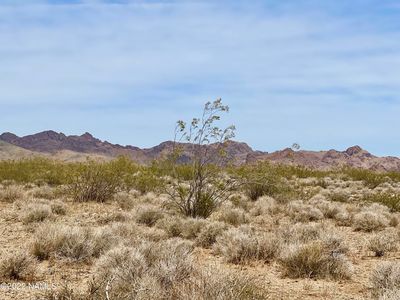 11564 Carter Rd, Golden Valley, AZ, 86413