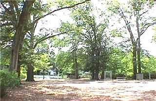 2nd image of 2319 Princess Place Drive