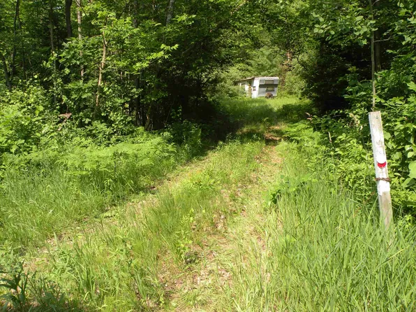 Adams Rd, Gladwin, MI 48624