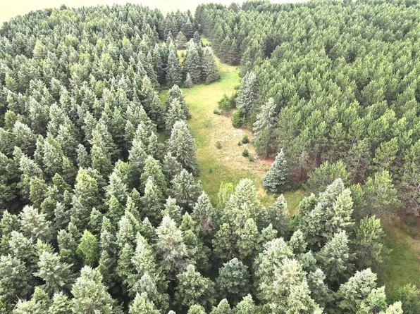 Sleepy Hollow Rd #C, Brainerd, MN 56401