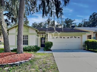 2533 Gotham Way, Valrico, FL 33596