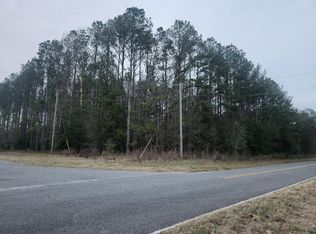 0 45th Rd, Wellborn, FL 32094