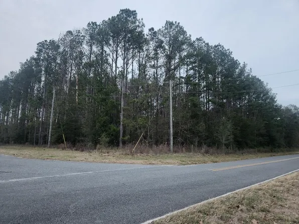 0 45th Rd, Wellborn, FL 32094