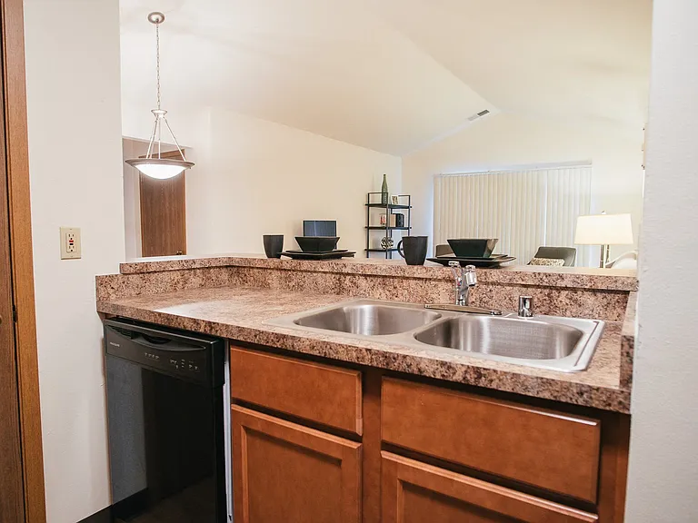 Kitchen sink with dishwasher