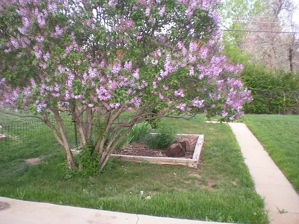 3038 S Flamingo Way #HOUSE — Photo 14