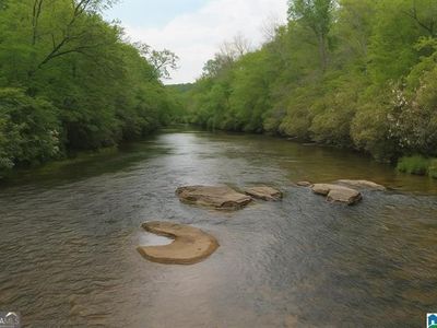 1051 Pate Rd TRACT 5 & 6, Cragford, AL, 36255