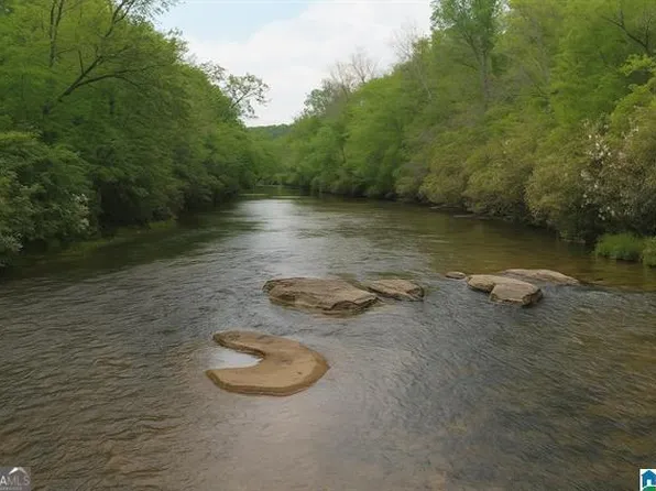 1051 Pate Rd Tract 5 & 6, Cragford, AL 36255